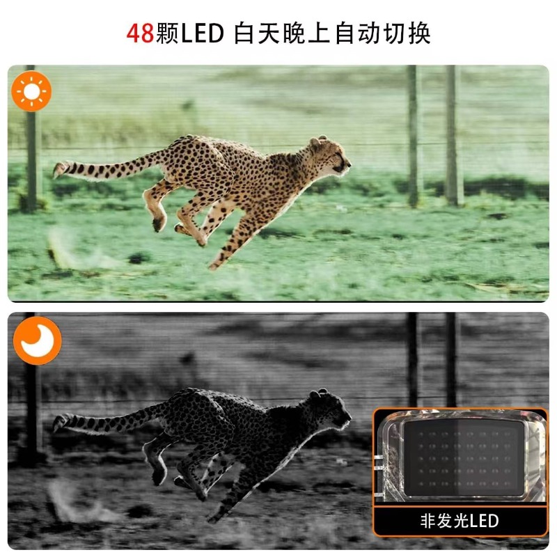 HOT SALE DL001 Hunting Camera  - Hunting Outdoor Camera recension och pris