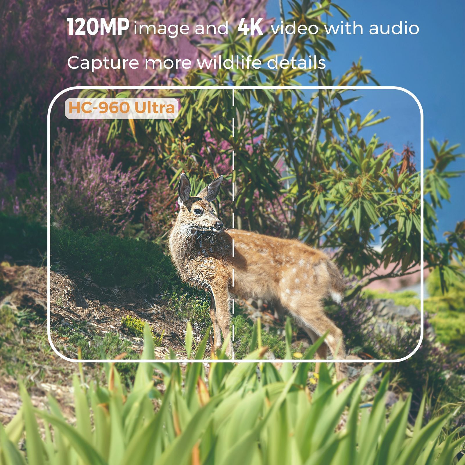 4G outdoor wildlife infrared c - Hunting Outdoor Camera recension och pris