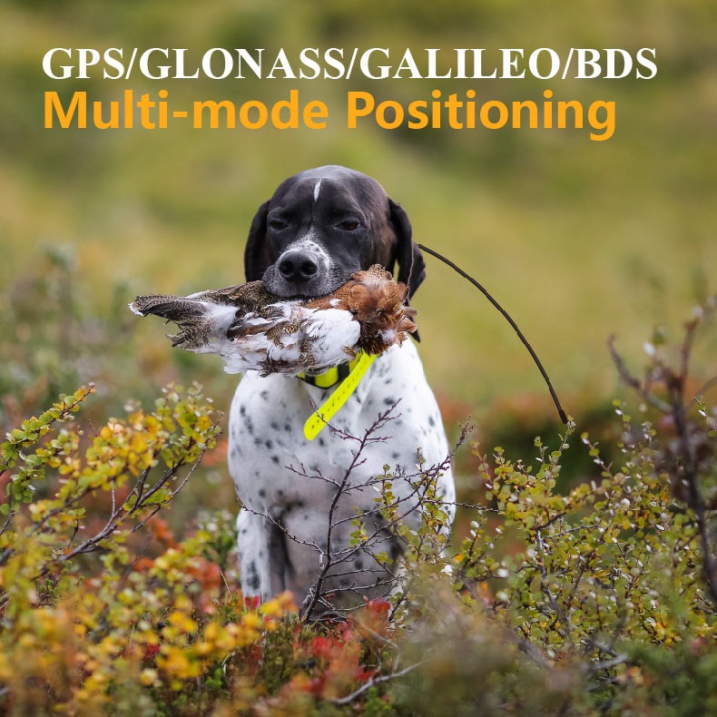 Global GPS Pet Tracker Real Ti - Outdoor Hunting Dog Supply recension och pris